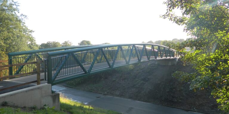 Lower Darcy Street Foot_Cyclebridge2