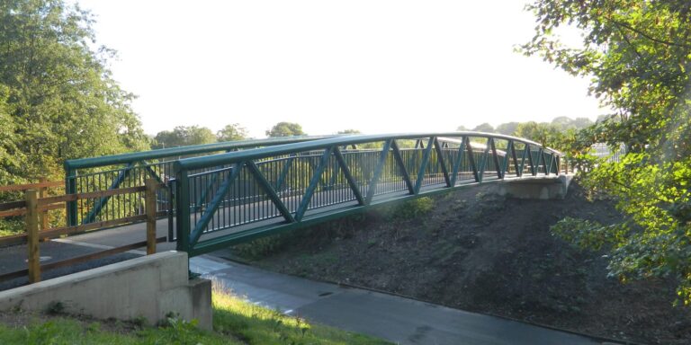 Lower Darcy Street Foot_Cyclebridge3